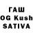БУТИРАТ Butirat Kurrito Official