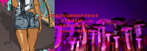 спайс Алексин