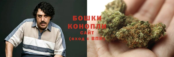 спайс Алексин
