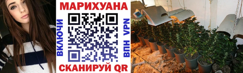 Канабис индика  как найти закладки  Жиздра 